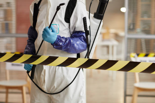 Professional Biohazard technician working in Red Feather Lakes, CO